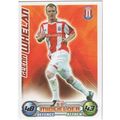 Match Attax 2008/2009 Glen Whelan Stoke City
