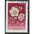 HUNGARY 1958 FLOWERS 1ft USED SG1523