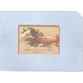 New York Gowanda Victorian Trade Card Peter Rim...