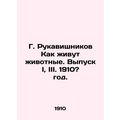 G. Rukavishnikov How animals live. Issue I, III. 1910? year./G. Rukavishnikov K