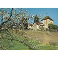 Schloss Heidegg Switzerland Postcard unused VGC