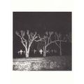 Bill Brandt Cars Headlights On Haunted Graveyar...