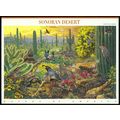 Sonoran Desert Nature Series Sheet of Ten 33 Ce...