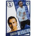 Topps PL I-Cards 2006/07 Collection: Tottenham ...