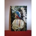 NORTH AMERICAN INDIAN unused Canadian vintage postcard =