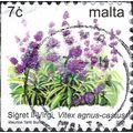 MALTA, FLOWER, Virgin Bush, Vitex agnus-castus,...
