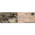 CT New London Postcard Old Town Mill w/Horse & ...