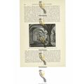Crypt, Bow Church, London, England, Book Illust...