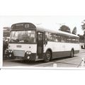 Black & White Photograph of Maidstone & Distric...