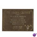 STAR TREK THE ORIGINAL SERIES 'GOLD PLAQUE' car...