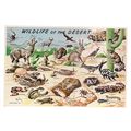 WILDLIFE OF THE DESERT, vintage unused postcard...