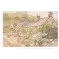 BRANSCOMBE, Devon. unused postcard from a David...