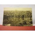 SHARPHAM WOODS, RIVER DART, DEVON .unused vinta...