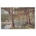 Berwyn Horseshoe Falls Llangollen Postcard Denb...