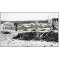 Collecting Seaweed, Portugal, c1920, MODERN REP...