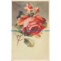 R091544 Old Postcard. Rose