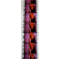 Pk DAU - A - MIX - D 087i . 1 STRIP OF 5 - 35MM...