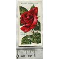 1914 Wills Roses 2nd Series No. 87 King George V