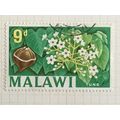 Malawi Queen Elizabeth II 1964 9d Tung Tree Use...