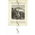 Brocken (Blocksberg), Hartz (Harz), Germany, Bo...
