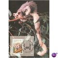 Australia FDI Postcard set 1990 - High Country ...