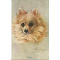 Art PERSIS KIRMSE "Teddy" Postcard (Celesque 988)