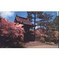 USA Postcard - Oriental Tea Garden, San Francis...