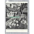 (7764) Lindfield Sussex / Shipley Smock Mill - ...