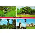Postcard The Dukeries, Nottinghamshire. Multivi...