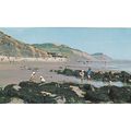 The Beach Charmouth Dorset Postcard(Dor71888)