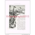 Rocca San Stefano, Italy, Book Illustration (Pr...