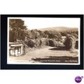 Somerset SELWORTHY Holnicote House Postcard (P2...