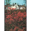 Achamore House, Isle Of Gigha, Argyll, Scotland...