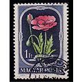Hungary 1951 Flowers 1Ft Used Stamp