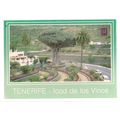 VIEW OF THE DRAGO, TENERIFE used postcard.1992 #