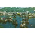 Shaukiwan Fishing Centre Hong Kong Boats Vintag...