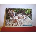 DUNN'S RIVER FALLS, OCHO RIOS, JAMAICA used pos...