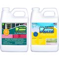 Premium Restorer-Restores Original Color & Reju...
