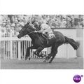 PRESS PHOTO GAY SAHIB Geoff Baxter LINGFIELD PA...
