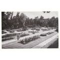 Postcard Rose Garden Hesketh Park SOUTHPORT 1930