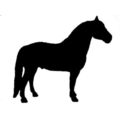 Morgan Horse Silhouette Equine Decal Black Stic...