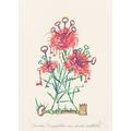 Salvador Dalí Florals Surrealist Flowers 1972 P...