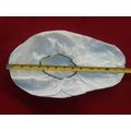 40 Pack White XL,VWR Maximum Protection Non-Ski...