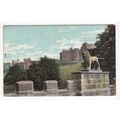 Castle from Lion Bridge Alnwick Postcard Northu...