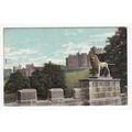 Castle from Lion Bridge Alnwick Postcard Northumberland The Wrench Series 11161