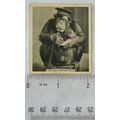 1935 De Reszke Our Favourites No. 12 Ape-ing hi...