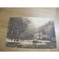 R & R Bull 1925 fr Postcard -Salmon Pool, Doved...