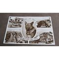 1950s real photo Postcard - Thinking of you - C...