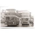 Black & White Photograph of Ribble Motor Servic...