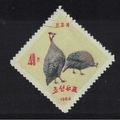 Korea Helmet Guineafowl Domestic Poultry Birds ...